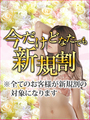 ご新規価格